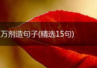 万剂造句子(精选15句)