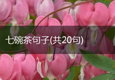 七碗茶句子(共20句)