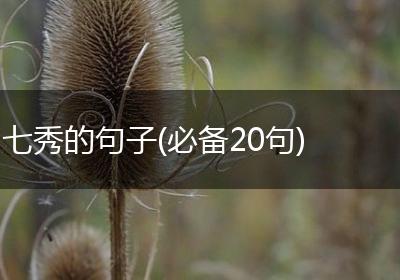 七秀的句子(必备20句)