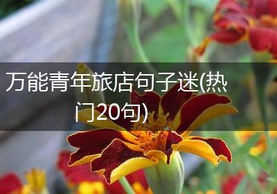 万能青年旅店句子迷(热门20句)