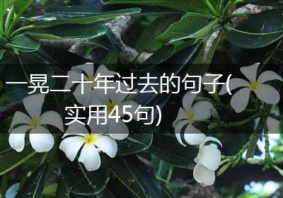 一晃二十年过去的句子(实用45句)