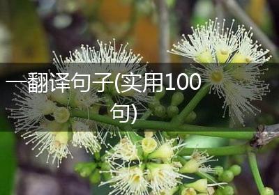 一翻译句子(实用100句)