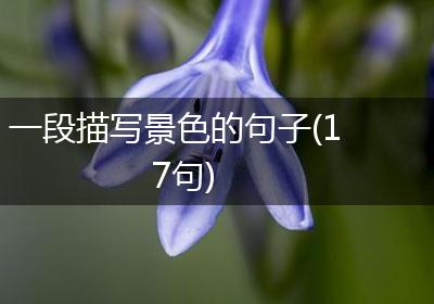 一段描写景色的句子(17句)