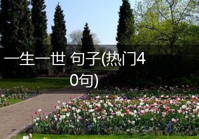 一生一世 句子(热门40句)