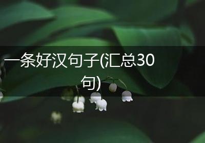 一条好汉句子(汇总30句)