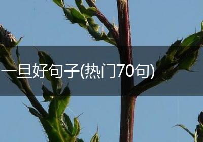 一旦好句子(热门70句)