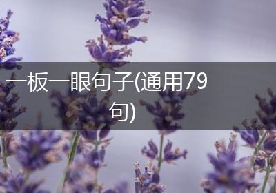 一板一眼句子(通用79句)