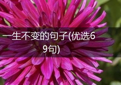 一生不变的句子(优选69句)