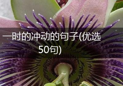 一时的冲动的句子(优选50句)