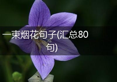 一束烟花句子(汇总80句)