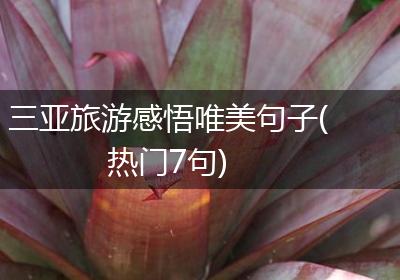 三亚旅游感悟唯美句子(热门7句)