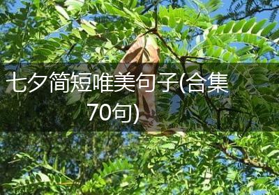 七夕简短唯美句子(合集70句)