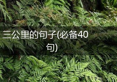 三公里的句子(必备40句)