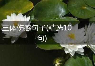 三体伤感句子(精选10句)