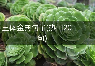 三体金典句子(热门20句)