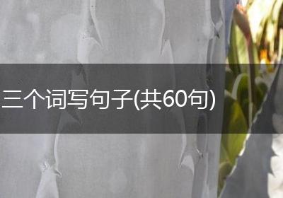三个词写句子(共60句)