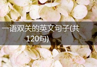 一语双关的英文句子(共120句)