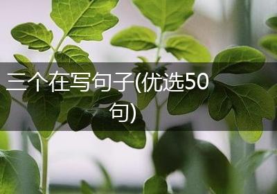 三个在写句子(优选50句)