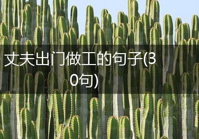 丈夫出门做工的句子(30句)