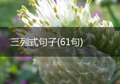 三列式句子(61句)