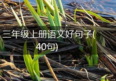 三年级上册语文好句子(40句)