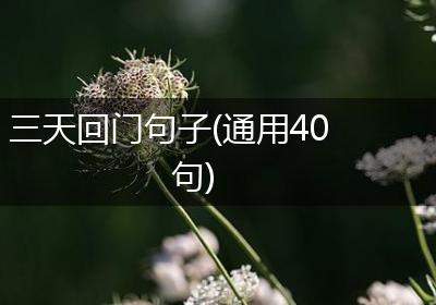 三天回门句子(通用40句)