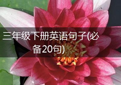 三年级下册英语句子(必备20句)