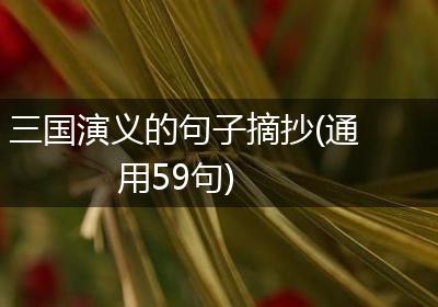 三国演义的句子摘抄(通用59句)
