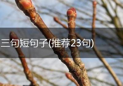 三句短句子(推荐23句)