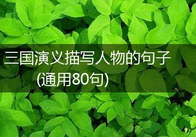三国演义描写人物的句子(通用80句)