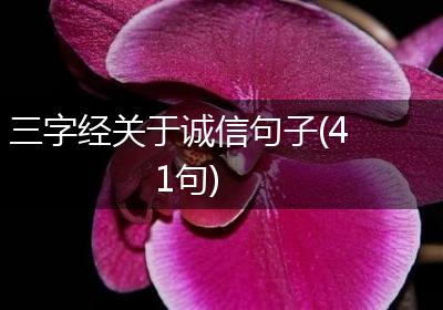 三字经关于诚信句子(41句)