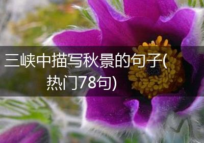 三峡中描写秋景的句子(热门78句)
