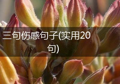 三句伤感句子(实用20句)