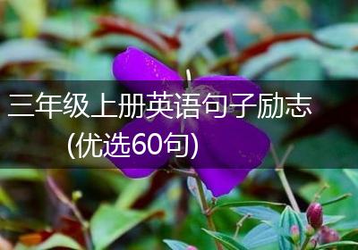 三年级上册英语句子励志(优选60句)