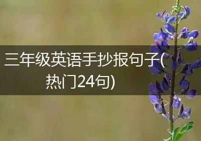 三年级英语手抄报句子(热门24句)