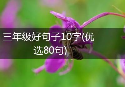 三年级好句子10字(优选80句)