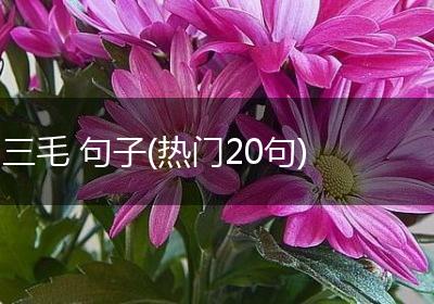 三毛 句子(热门20句)