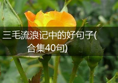 三毛流浪记中的好句子(合集40句)