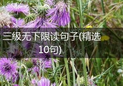 三级无下限读句子(精选10句)