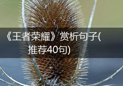 《王者荣耀》赏析句子(推荐40句)