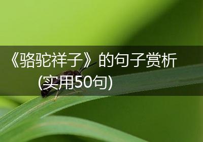 《骆驼祥子》的句子赏析(实用50句)