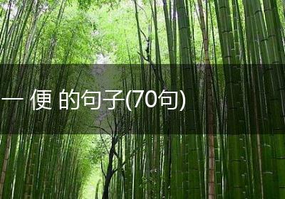 一 便 的句子(70句)