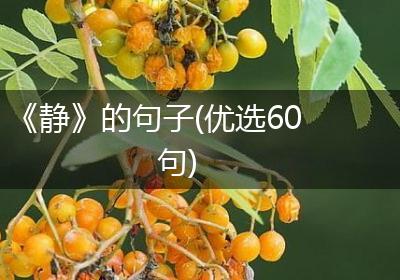 《静》的句子(优选60句)