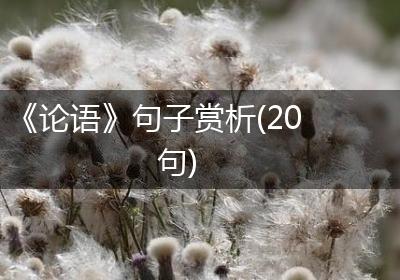 《论语》句子赏析(20句)