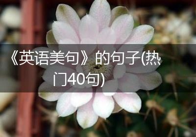 《英语美句》的句子(热门40句)