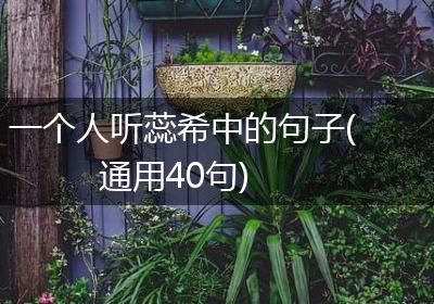 一个人听蕊希中的句子(通用40句)