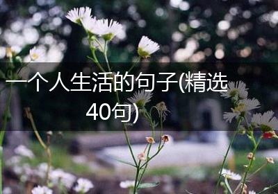 一个人生活的句子(精选40句)