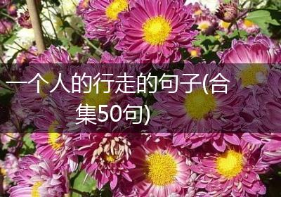 一个人的行走的句子(合集50句)