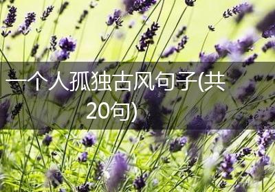 一个人孤独古风句子(共20句)