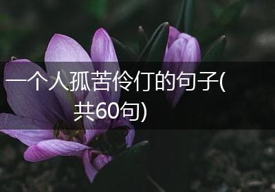一个人孤苦伶仃的句子(共60句)